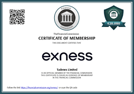 Updates To The Exness App 0
