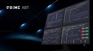 Exploring PrimeXBT for Online Trading in Indonesia