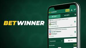 How to Claim Your Betwinner Bonus Effectively 2081636314