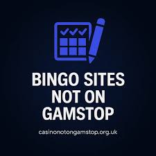 Exploring Non GamStop Bingo A Guide to Unlimited Fun